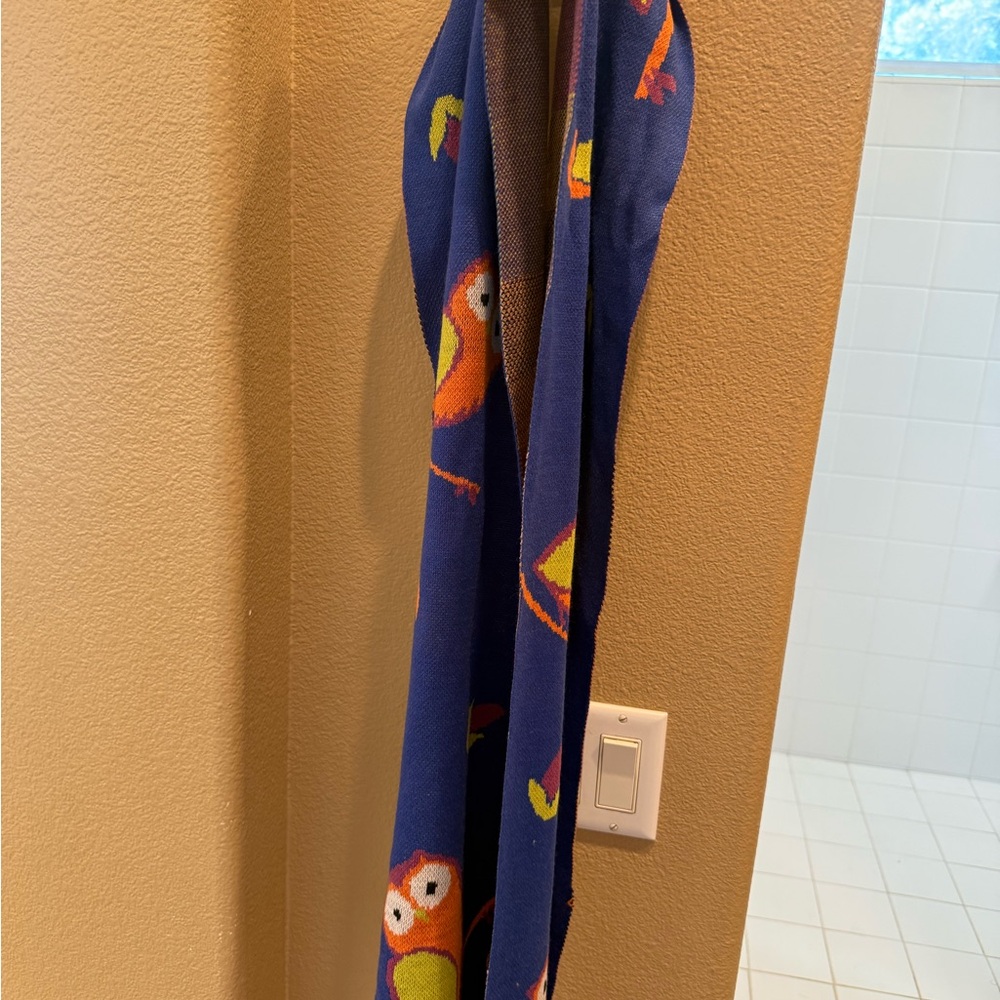 Colorful Owl Print Scarf